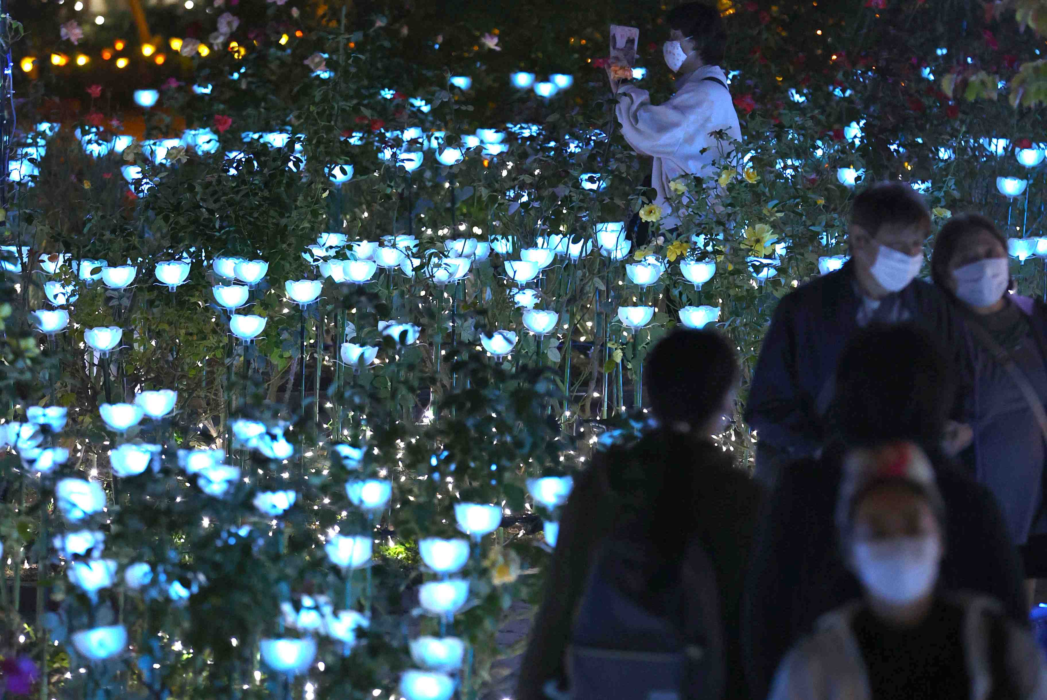 Hidden Wonders of Japan] Find the Colors of Kimetsu no Yaiba